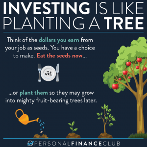 Investing is like planting a tree