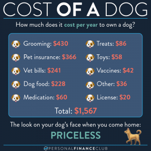 Cost of dog ownership