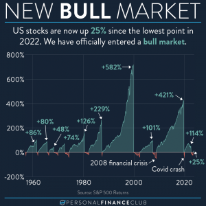 bull vs bear market